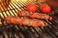 Beef Kebabs With Vegetables On The Hot BBQ Grill Royalty Free Stock Photo