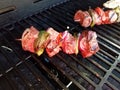 Beef kebob with onions and peppers on a stick on a grill with chicken