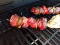 Beef kebob with onions and peppers on a stick on a grill with chicken