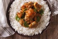 Beef madras with basmati rice close-up on a plate. horizontal to