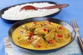 Beef Madras Curry and Rice Royalty Free Stock Photo