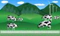 Beef milk cow in farm in wild nature with mountain landscape view