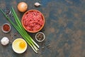 Beef minced meat with spices on a dark rustic background. Top view, copy space. Royalty Free Stock Photo