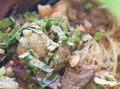 Beef noodle bowls green