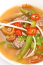 Beef noodle soup Royalty Free Stock Photo