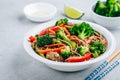 Beef Noodle Stir Fry with broccoli, carrots and red bell peppers Royalty Free Stock Photo