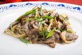 Beef noodles with leek Royalty Free Stock Photo