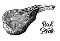 Beef, pork or lamb Red meat hand drawn sketch. Engraved raw food illustration. Butcher shop product. Prime rib steak