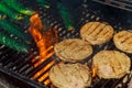 Beef or pork meat barbecue burgers for hamburger prepared grilled Royalty Free Stock Photo