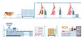 Beef product manufacture process infographic from farm cow to market. Meat food production and distribution. Sausage