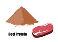 Beef protein powder and piece of meat. Vector illustration Royalty Free Stock Photo