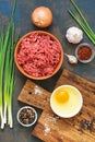 Beef raw minced meat, raw egg, spices, garlic, green onion, cutting board. Ingredients for cooking cutlets and meatballs. Top view Royalty Free Stock Photo