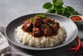 Beef Rendang is a Minang dish originating from the Minangkabau region in West Sumatra, Indonesia. Isolated on grey background.