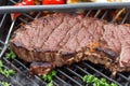 Beef ribeye steak grilling on flaming grill rich food Royalty Free Stock Photo