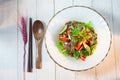 Beef Salad, Thai style beef salad spicy dish Royalty Free Stock Photo