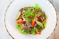 Beef Salad, Thai style beef salad spicy dish Royalty Free Stock Photo