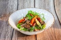 Beef Salad, Thai style beef salad spicy dish Royalty Free Stock Photo