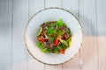 Beef Salad, Thai style beef salad spicy dish Royalty Free Stock Photo