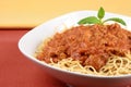 Beef sauce pasta Royalty Free Stock Photo