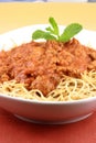 Beef sauce pasta Royalty Free Stock Photo