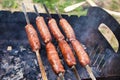 Beef sausages grilled on a coals. Barbecue on brazier. Royalty Free Stock Photo