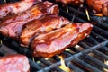 Beef Short RIbs with BBQ Sauce on Hot Grill Royalty Free Stock Photo