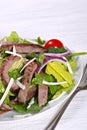 Beef sirloin strips mixed with green salad