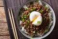 Beef Soboro with egg poached, rice and green onion close-up. Horizontal top view Royalty Free Stock Photo