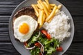 Beef Steak with Egg, french fries, rice and salad closeup in the plate. Horizontal top view Royalty Free Stock Photo