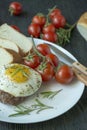 Beef steak with fried egg in spices served on a white plate. American dish. Dark wooden background. Side view. Close-up Royalty Free Stock Photo