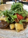 Beef steak with gravy sauce, potatoe gnocchi, fresh tomatoes and rocket leaves Royalty Free Stock Photo