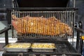 Beef steak on the grill Royalty Free Stock Photo