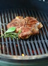 Beef steak grilled on a bbq, florentine t-bone