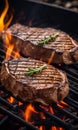 Beef steaks on the grill on the grill with flames. Grilled meat steak on stainless grill depot with flames on dark background.