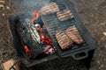 Beef steaks grilling on a cast iron plate on a camp fire. Campfire cooking. Royalty Free Stock Photo