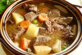 Beef Stew Royalty Free Stock Photo