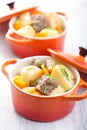 Beef stew with potato and carrot Royalty Free Stock Photo