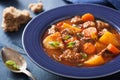 Beef stew with potato and carrot in blue plate Royalty Free Stock Photo