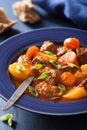 Beef stew with potato and carrot in blue plate Royalty Free Stock Photo