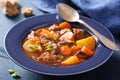 Beef stew with potato and carrot in blue plate Royalty Free Stock Photo