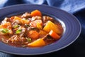 Beef stew with potato and carrot in blue plate Royalty Free Stock Photo