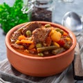 Beef stew with potato, green beans, carrot, peas and corn, in ceramic bowl, square format Royalty Free Stock Photo