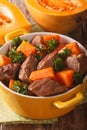 Beef stew with pumpkin macro in a pot. vertical Royalty Free Stock Photo