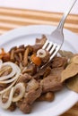 beef stew with wild mushrooms and onion on a white plate close up on fork, depth of field Royalty Free Stock Photo