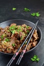 Beef Stir Fry with Rice Royalty Free Stock Photo