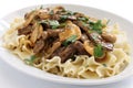 Beef stroganoff with pasta, russian cuisine