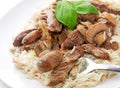 Beef Stroganoff with rice