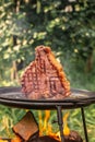 Beef T-Bone steak grilled porterhouse steak on barbecue grill with smoke and flames in green grass Royalty Free Stock Photo