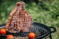 Beef T-Bone steak grilled porterhouse steak on barbecue grill with smoke and flames in green grass Royalty Free Stock Photo