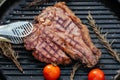 Beef T-Bone steak grilled porterhouse steak on barbecue grill with smoke and flames in green grass Royalty Free Stock Photo